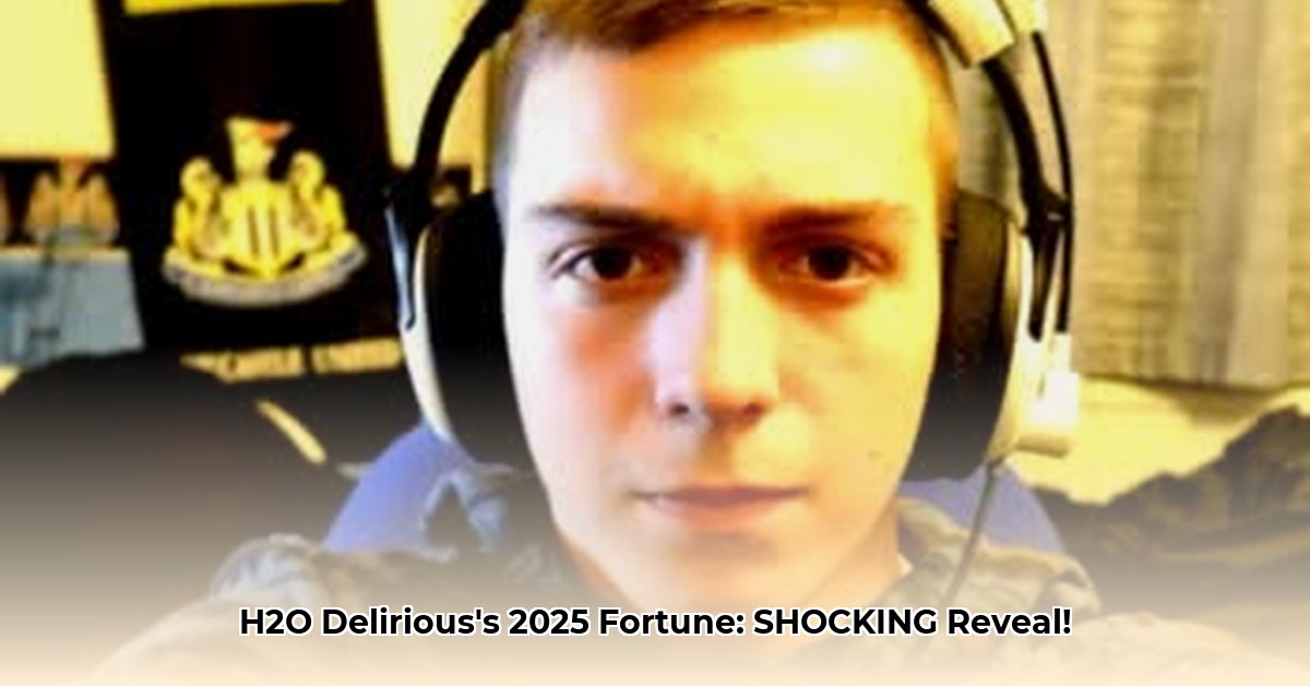 h2o-delirious-net-worth